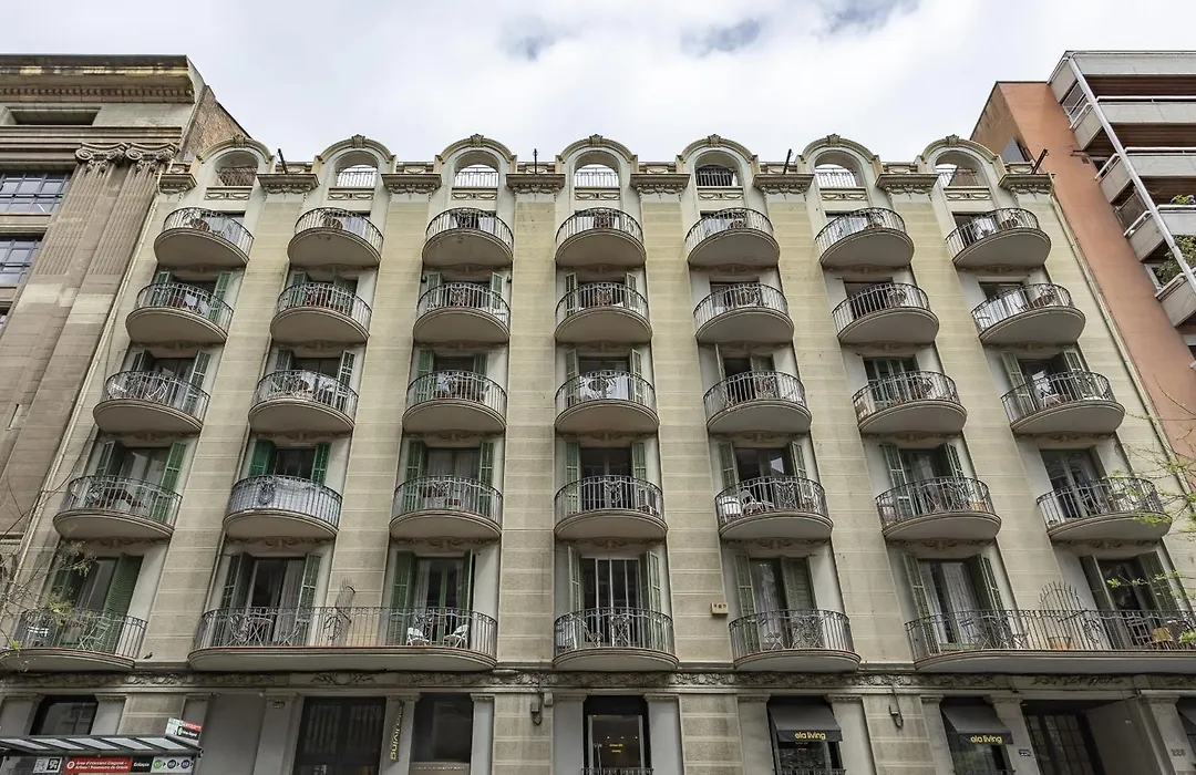 Ola Living Hostal Diagonal-1